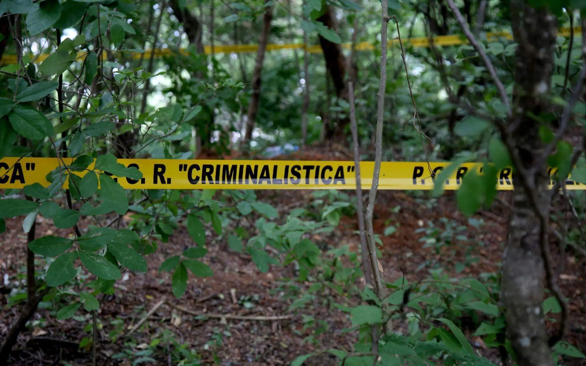 Fosa clandestina Foto Cortesía Cuartoscuro 2